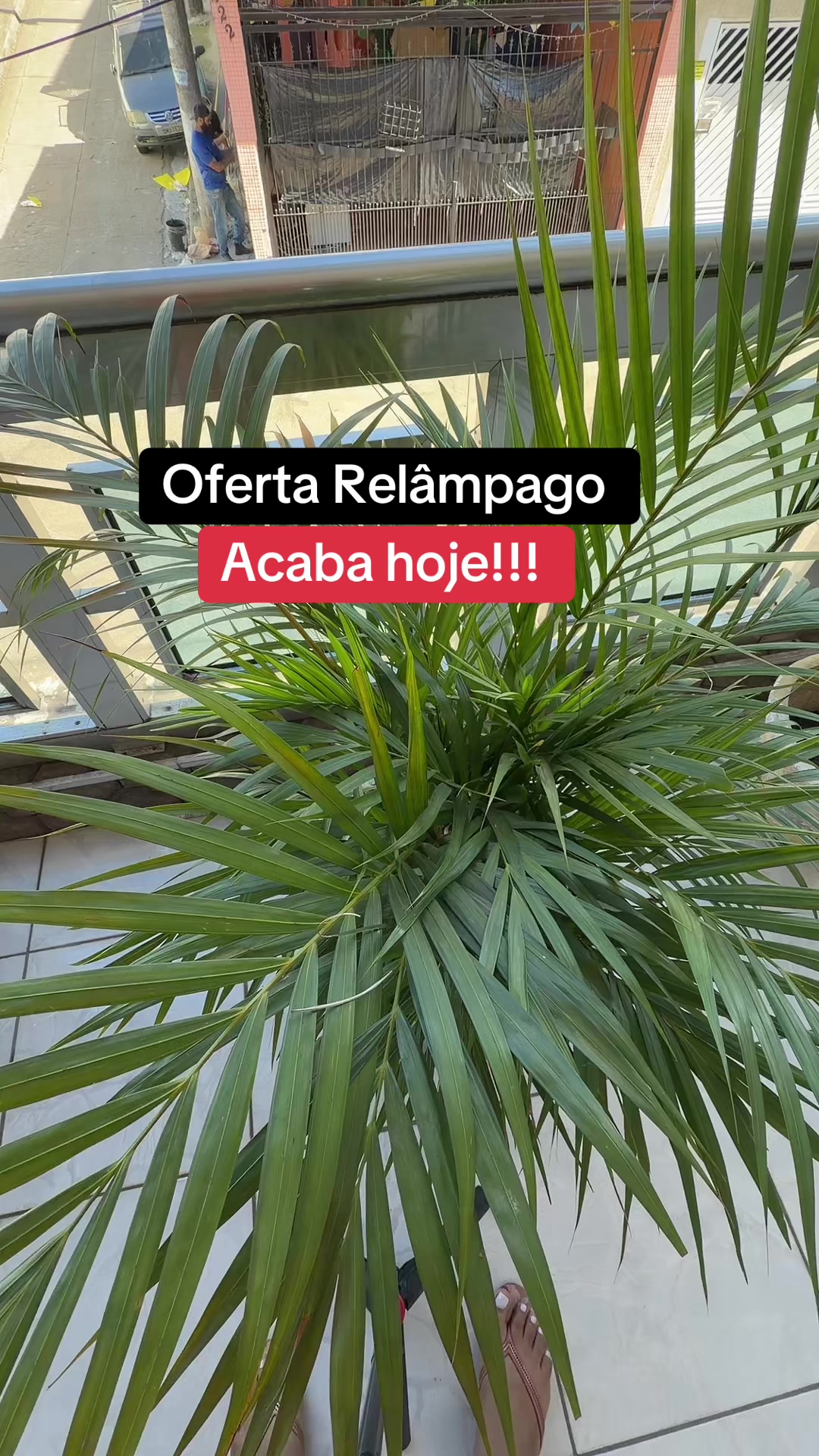 Capa do vídeo TikTok